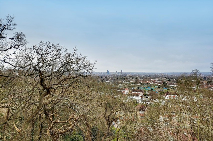 Images for The Woodlands, London